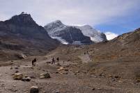 Weg zum Athabasca Gletscher