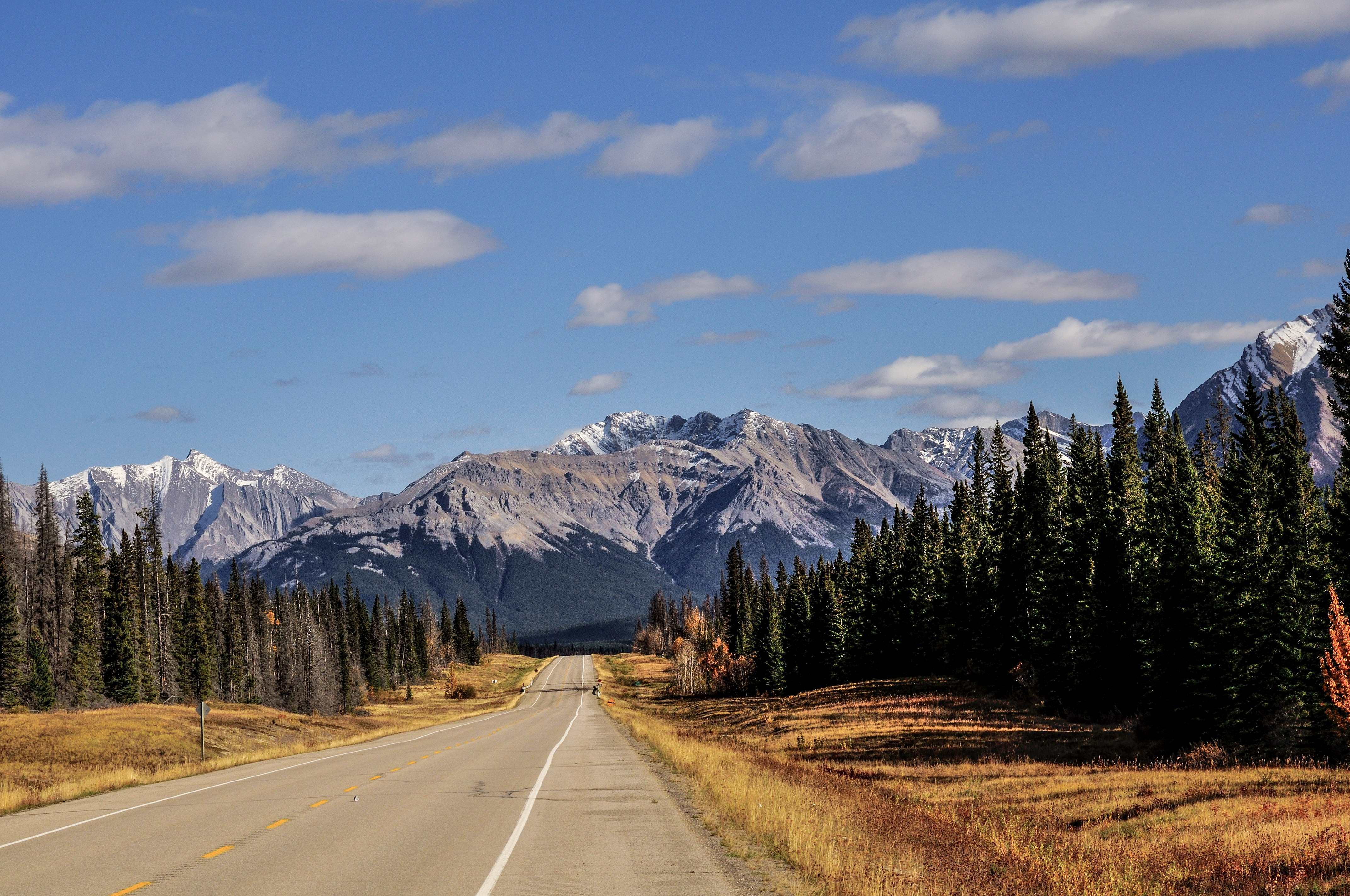 CANADAVIRUS - David Thompson Hwy