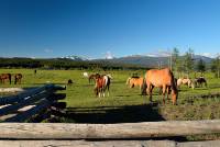 Auf dem R&uuml;cken der Pferde Canada erleben
